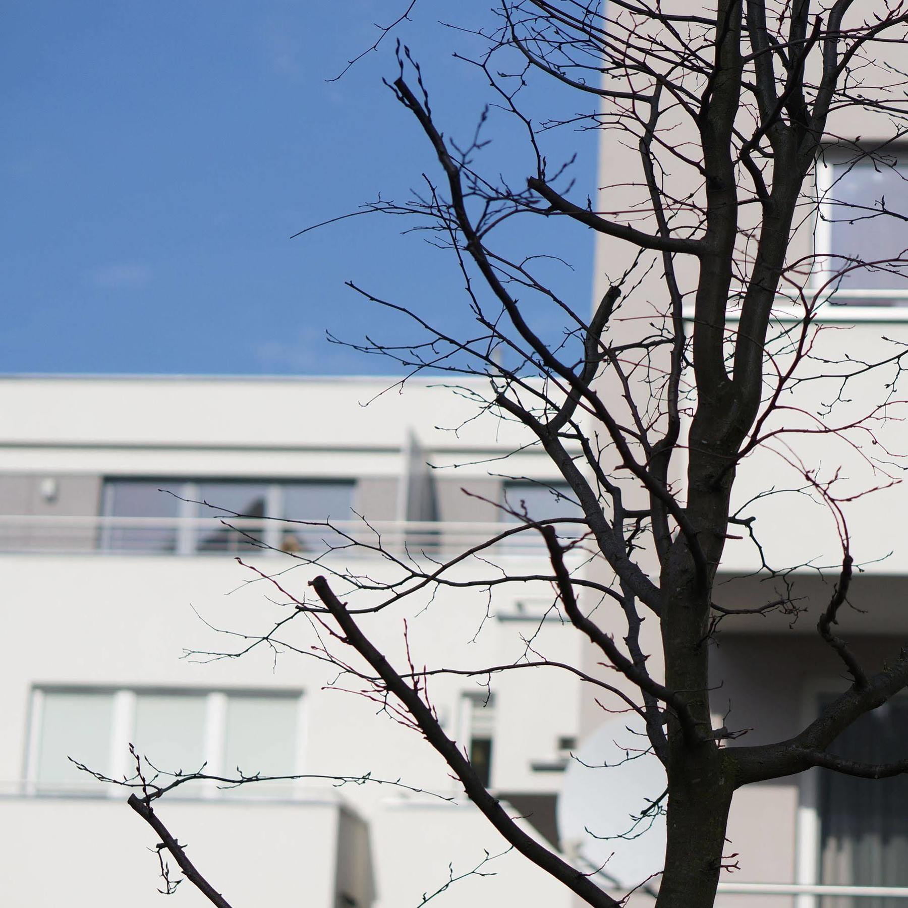 La Petite Apartments 그단스크 외부 사진